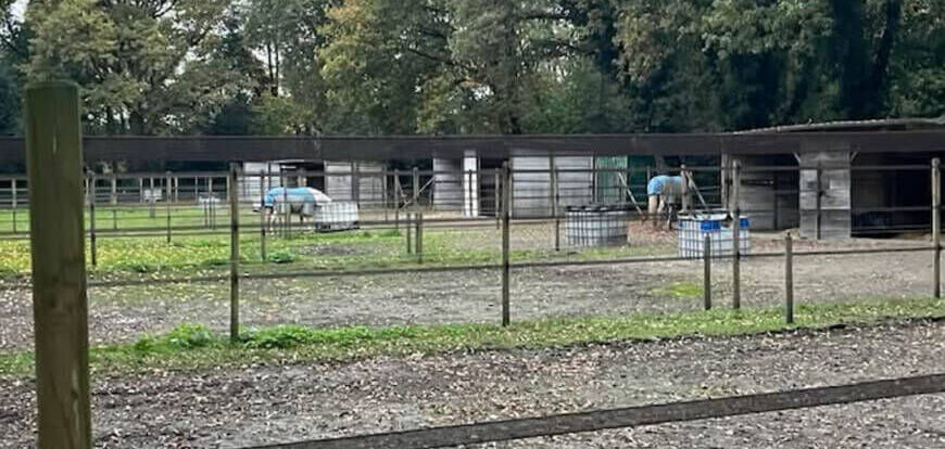 Mini Kempen workshop 10&11-10-26